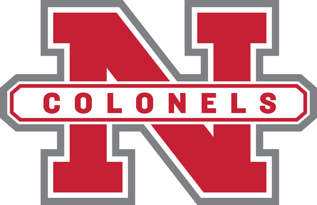 Nicholls State Colonels 2005-2008 Secondary Logo iron on transfers for clothing